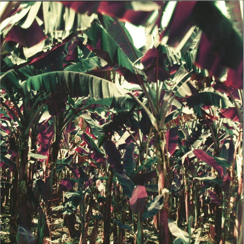 Dampé — Peach Shuffle Ep vinyl cover