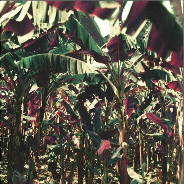 Dampé — Peach Shuffle Ep vinyl cover