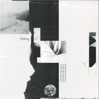 Öjskog — Dolda Byar Remixes vinyl cover