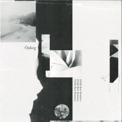 Öjskog — Dolda Byar Remixes vinyl cover