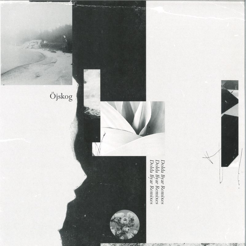 Öjskog — Dolda Byar Remixes vinyl cover