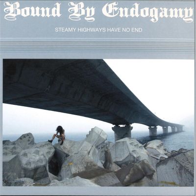 Bound By Endogamy — Steamy Highways Have No End vinyl cover