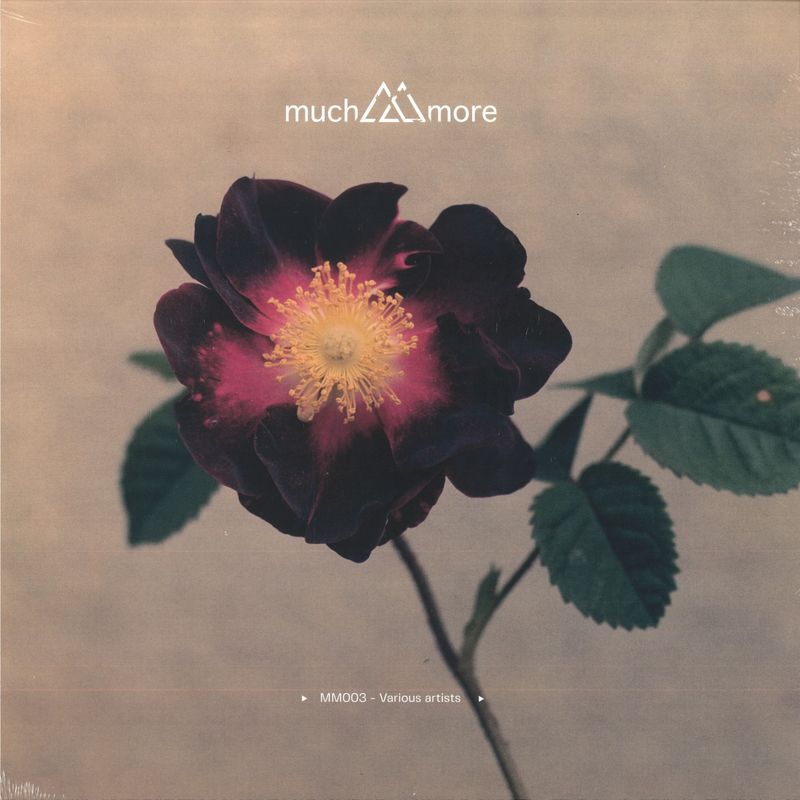 Various — MM003 vinyl cover