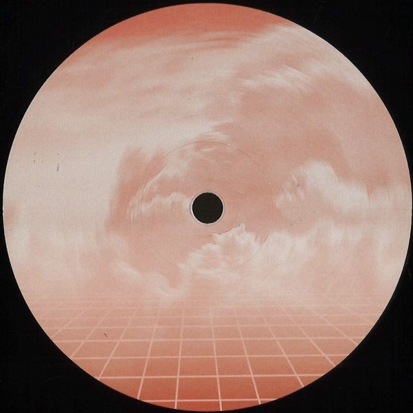 Len Lewis — Critical Mass EP vinyl cover