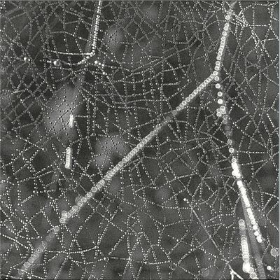 Rs Tangent — Crinkle vinyl cover