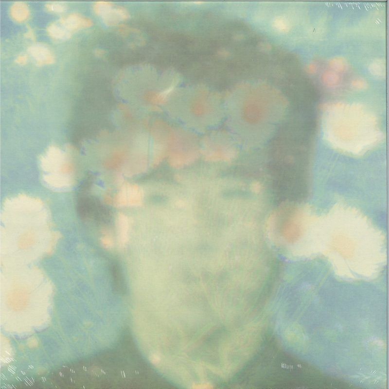 Love Wonderland — The Best Twilights of LP vinyl cover