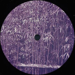 Javi — Berkana EP vinyl cover