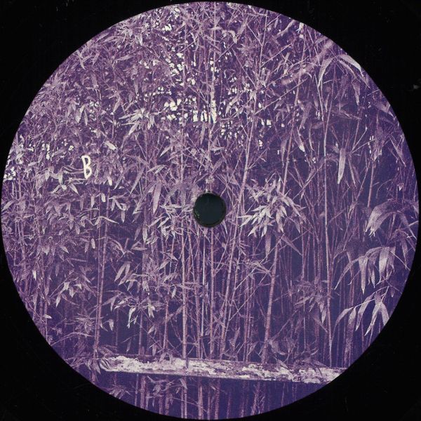 Javi — Berkana EP vinyl cover