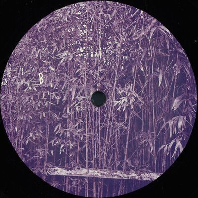 Javi — Berkana EP vinyl cover