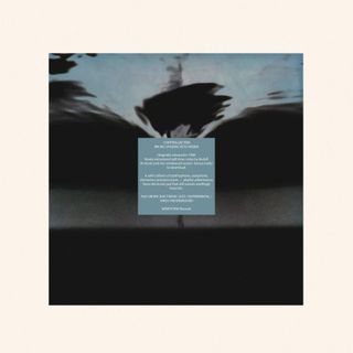 Bruno Spoerri, Reto Weber — Controlled Risk (LP) vinyl cover