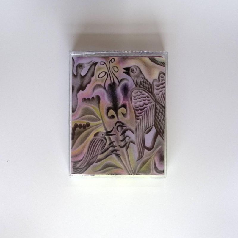 Various — Synthetic Bird Music 2 x TAPES vinyl cover