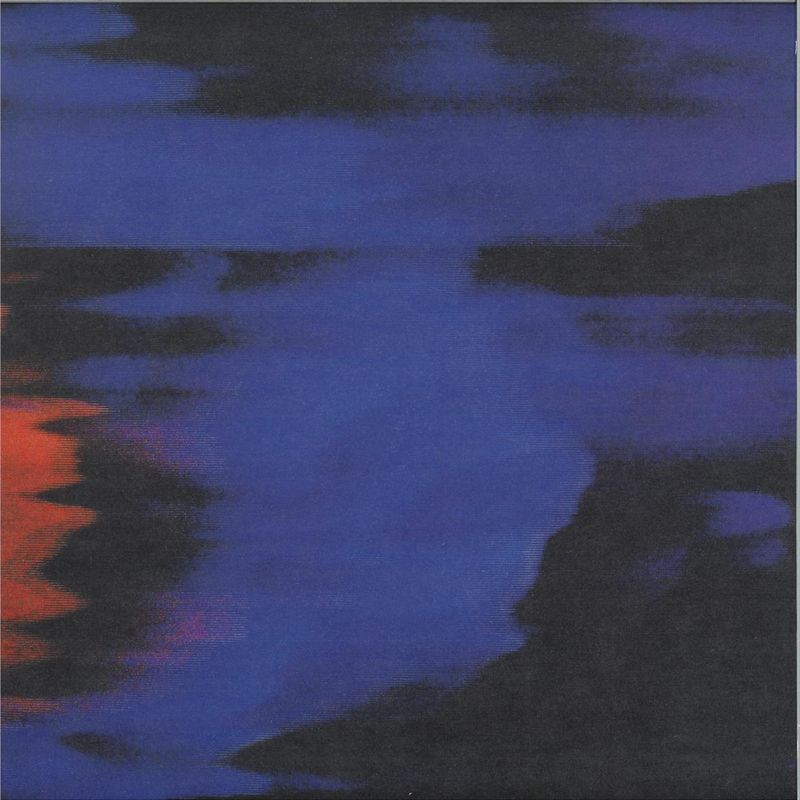 Unknown Artist — BIN006 vinyl cover