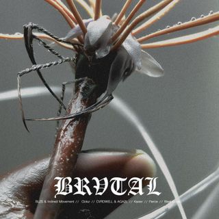 Various — BRVOO08 vinyl cover