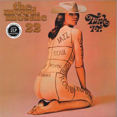 Various — the mood mosaic 22 LP 2x12" vinyl cover