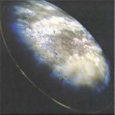 Sciama — Pixels Densely Packed*** vinyl cover