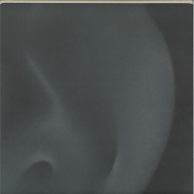 Feral — A Look Within vinyl cover