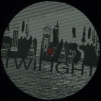 Tiger Stripes — Twilight Feat Vanita vinyl cover