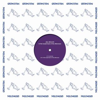 Alex Albrecht — In The Turpid Heat Of The Afternoon vinyl cover
