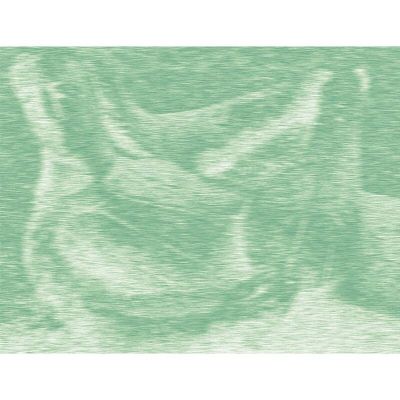 Elischa Heller — Breathing Soil vinyl cover