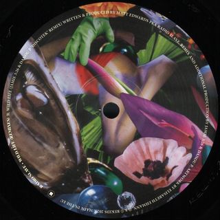 Radio Slave — Wild Life (Remixes) vinyl cover