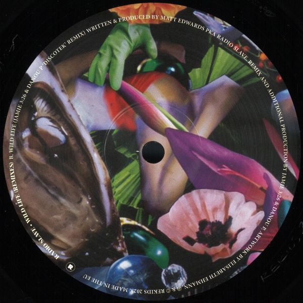 Radio Slave — Wild Life (Remixes) vinyl cover