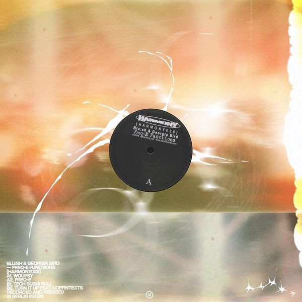 Blu:sh, Georgia Bird — Freq-E Functions vinyl cover