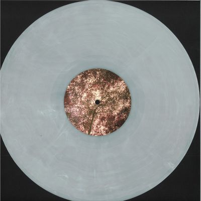 Maxion — Curvatures LP vinyl cover