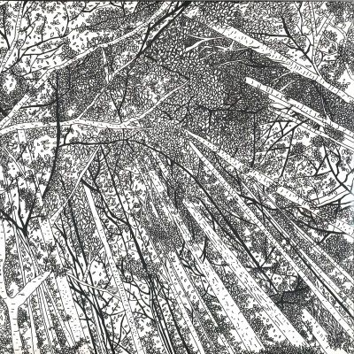 Various — Displaced Soundtracks vinyl cover