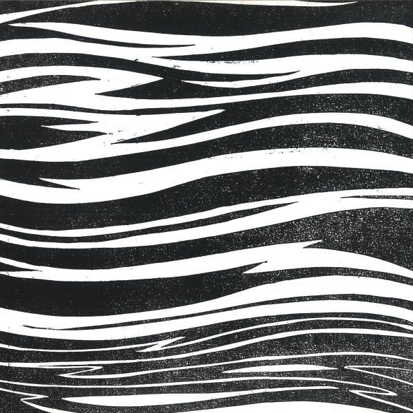 Mount Analogue — Spacious Present vinyl cover