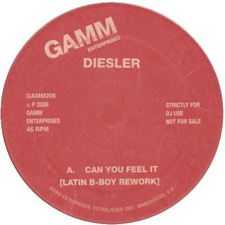 Diesler — CAN YOU FEEL IT vinyl cover