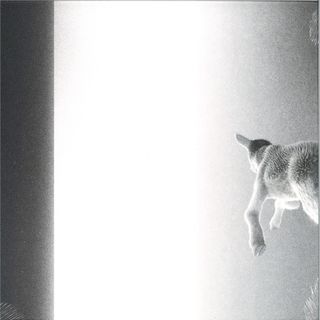 Panoram — Keep Looking Where The Light Comes From LP vinyl cover