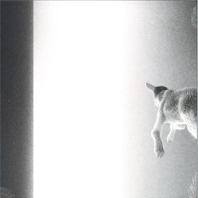 Panoram — Keep Looking Where The Light Comes From LP vinyl cover