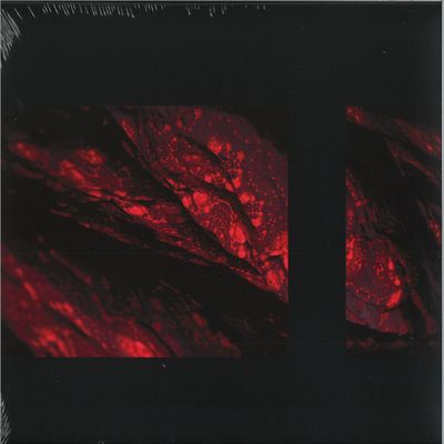 Some Science — Shapeshifters Ep vinyl cover