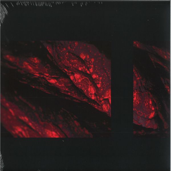 Some Science — Shapeshifters Ep vinyl cover