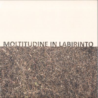 Gigi Masin, Giuseppe Caprioli — MOLTITUDINE IN LABIRINTO vinyl cover