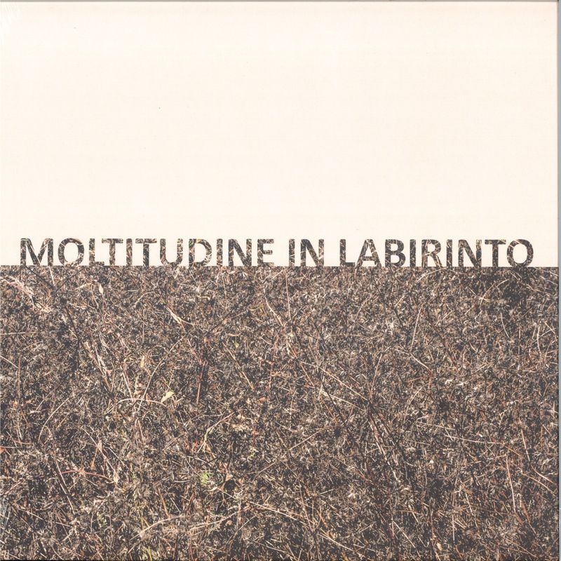 Gigi Masin, Giuseppe Caprioli — MOLTITUDINE IN LABIRINTO vinyl cover