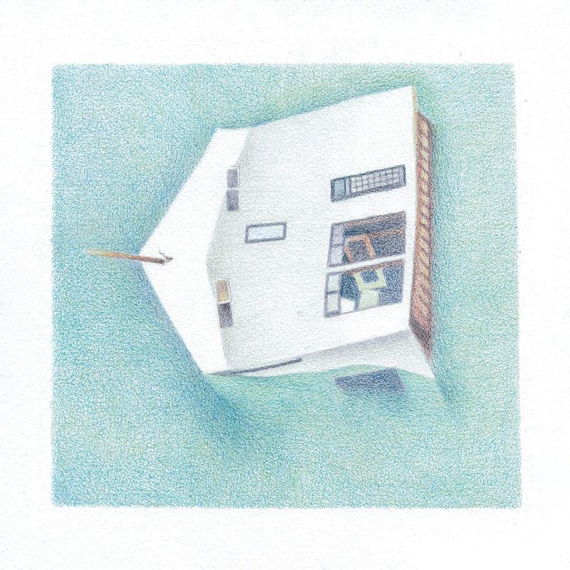 Danny Scott Lane — House Of Alice (LP) vinyl cover