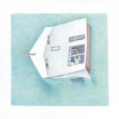 Danny Scott Lane — House Of Alice (LP) vinyl cover