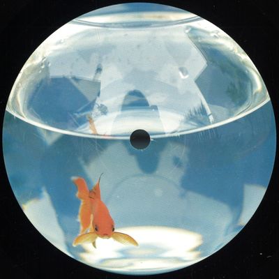 Jakobin — Locked vinyl cover