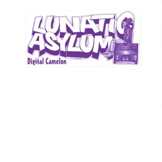 Lunatic Asylum