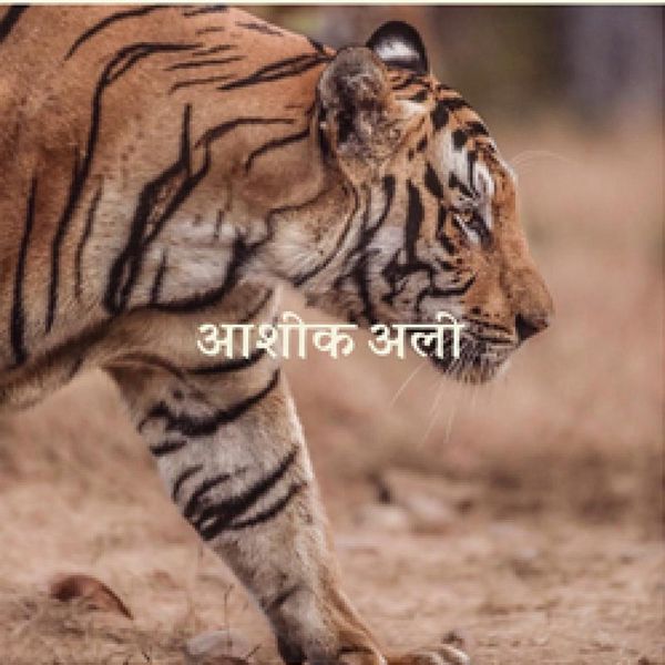 Subb-an — Lotus Rising - आशिक अली LP vinyl cover