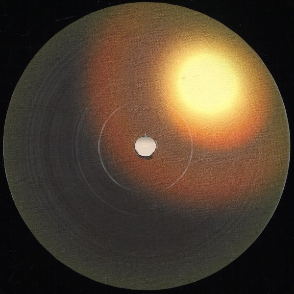 Various — Shifting Life vinyl cover