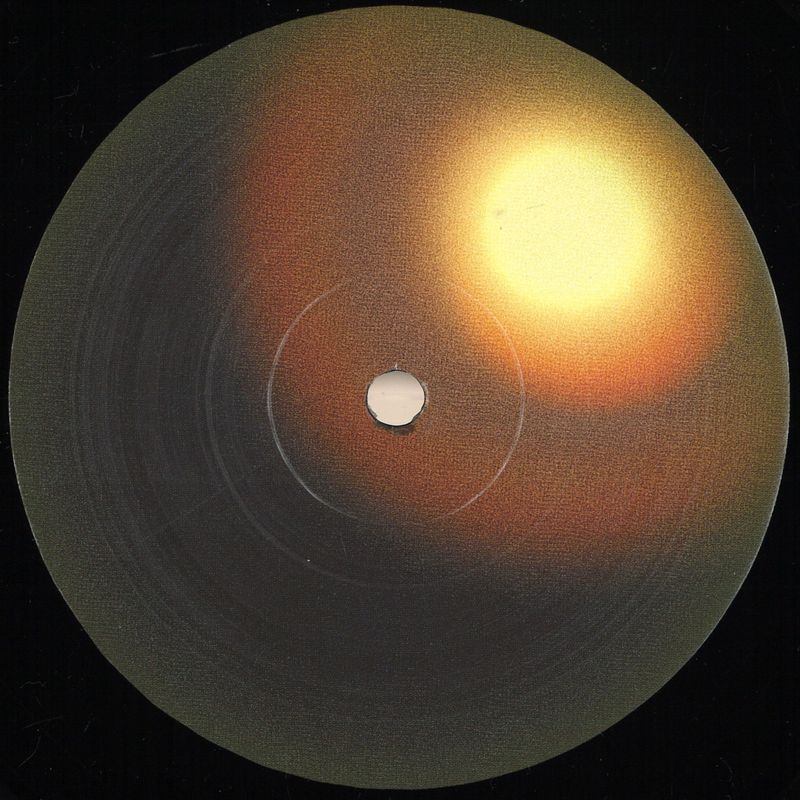 Various — Shifting Life vinyl cover