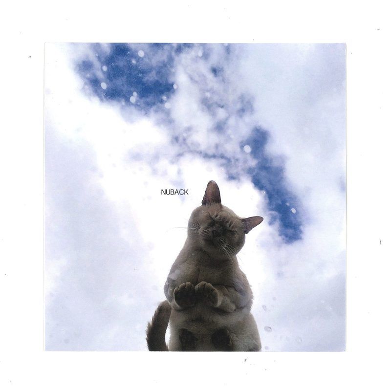 Nuback — When The Party Is Over / Heartbeat Summe 7" vinyl cover