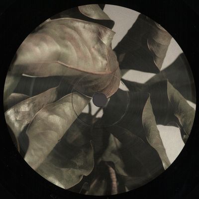 Lee Holman — The Honesty Of Time vinyl cover