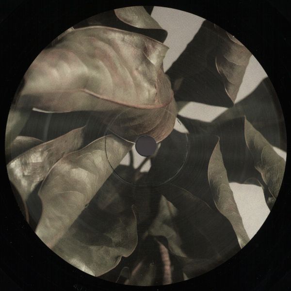 Lee Holman — The Honesty Of Time vinyl cover