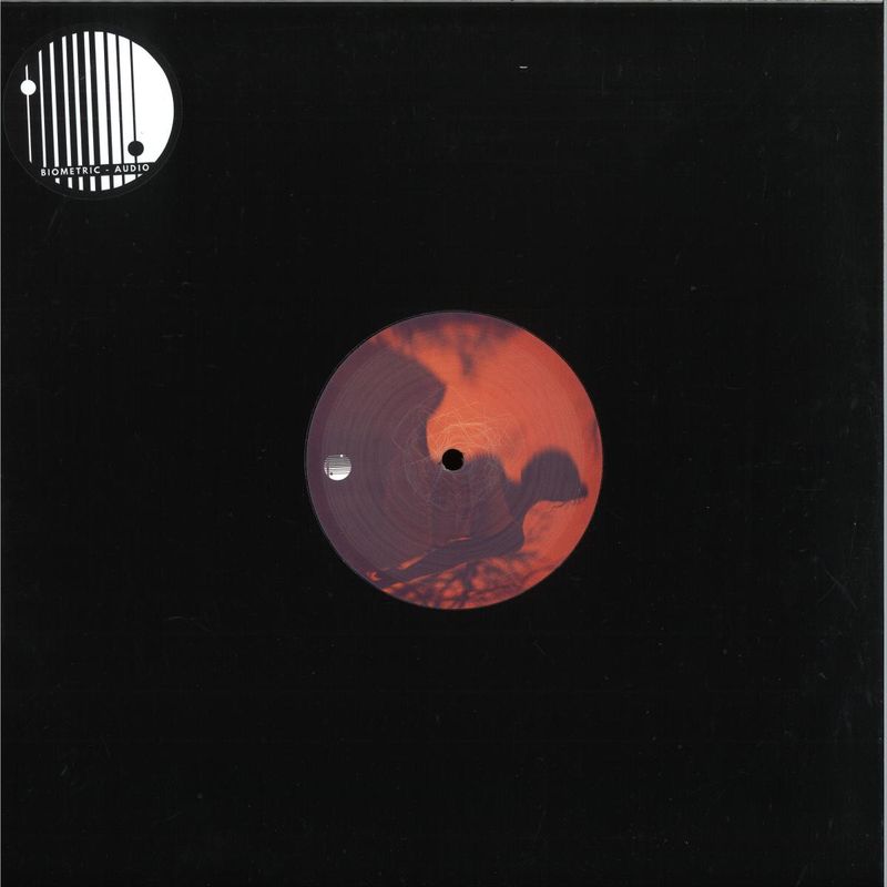 Various — Serial Experiments Lain vinyl cover