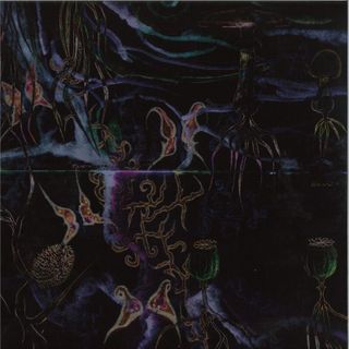 Animals On Psychedelics