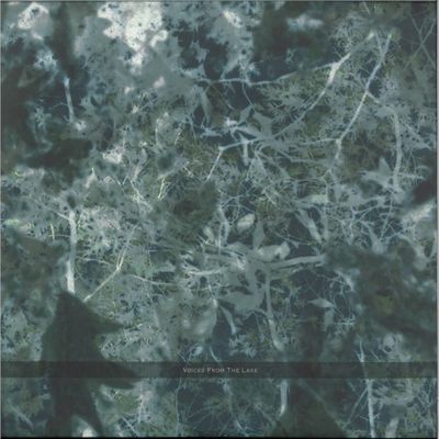 Voices From The Lake — Voices From The Lake (2023 Edition) 4x12" vinyl cover