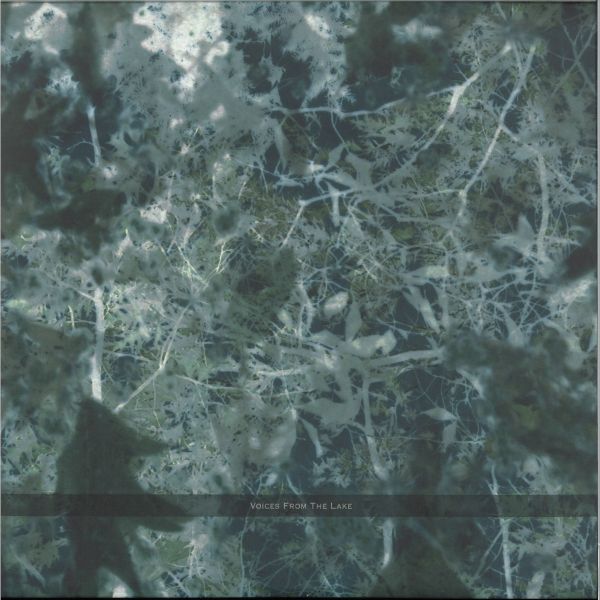 Voices From The Lake — Voices From The Lake (2023 Edition) 4x12" vinyl cover